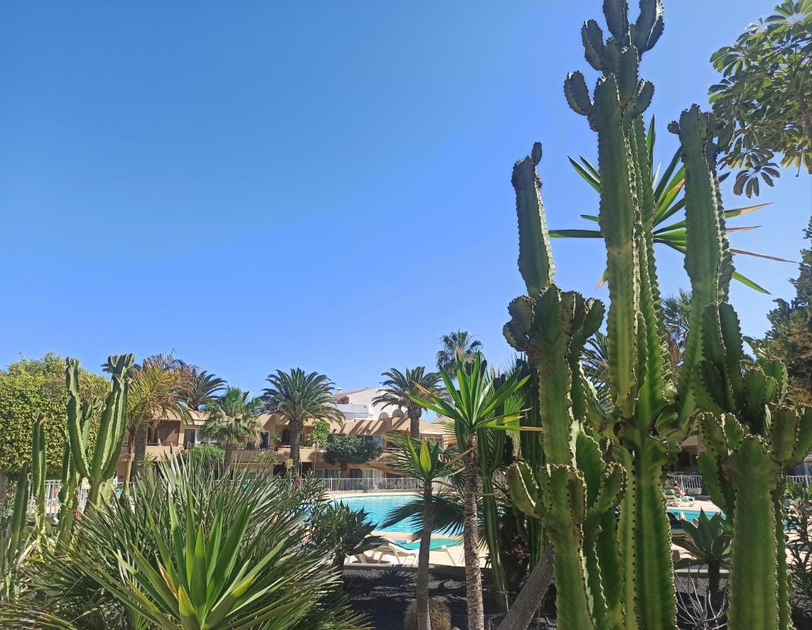 Elrincondesara Apartment Corralejo Ngoại thất bức ảnh