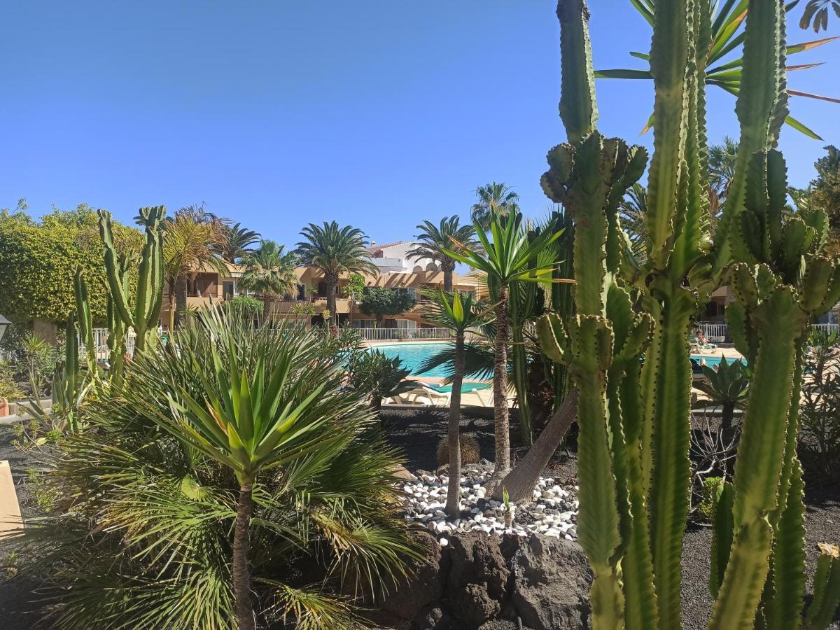 Elrincondesara Apartment Corralejo Ngoại thất bức ảnh